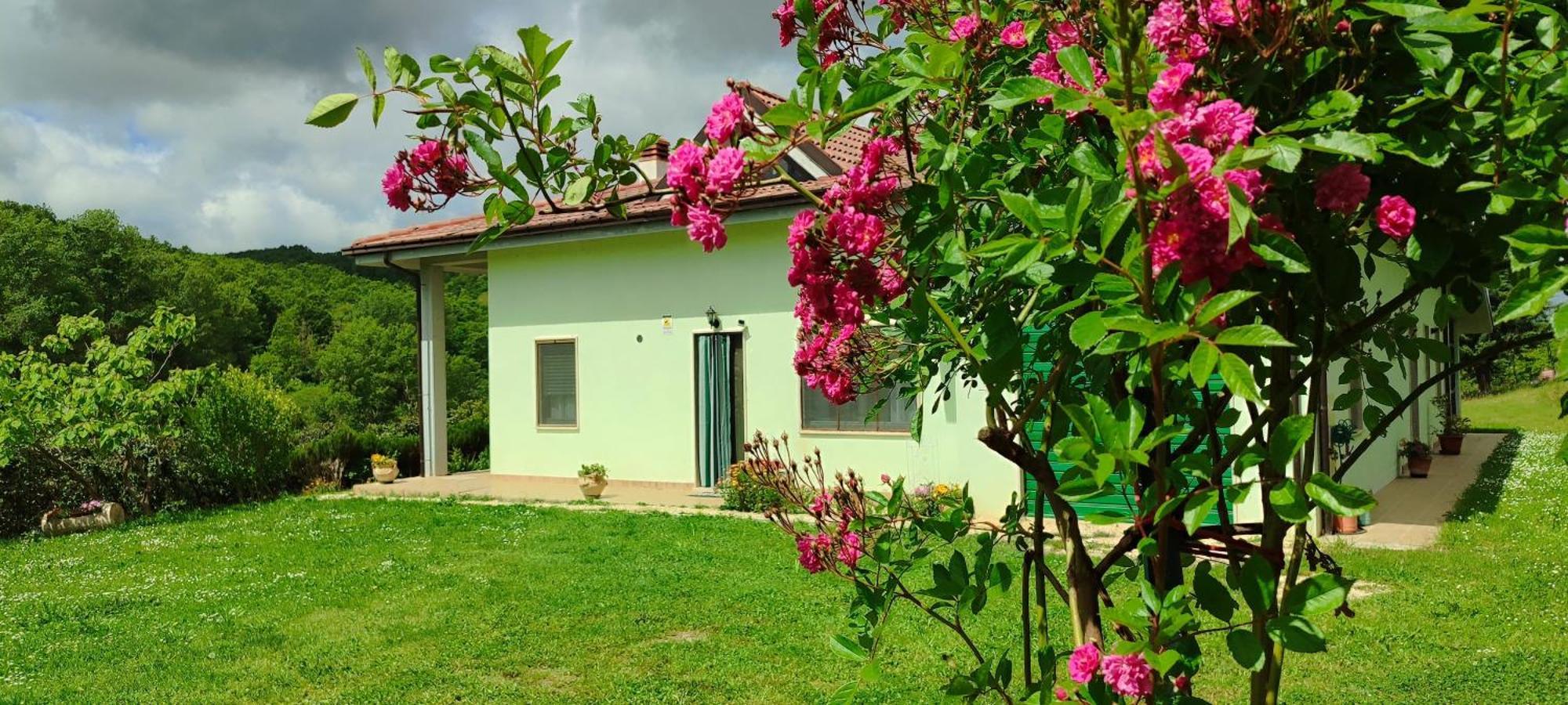 Pia'S House Garden Διαμέρισμα Καμπομπάσο Εξωτερικό φωτογραφία